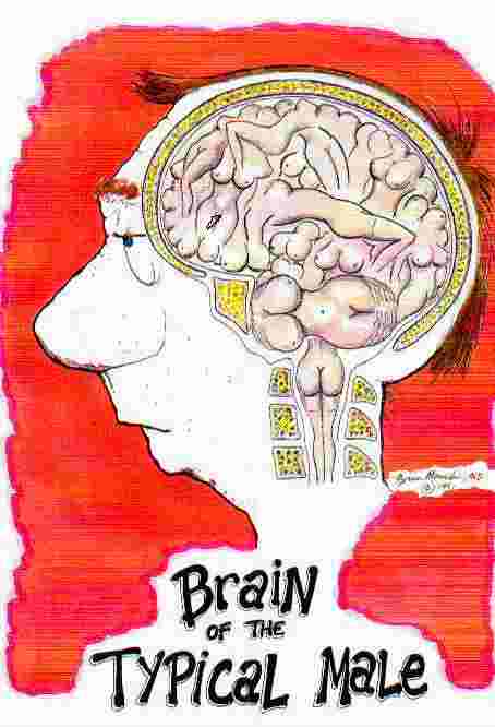brain3.jpg