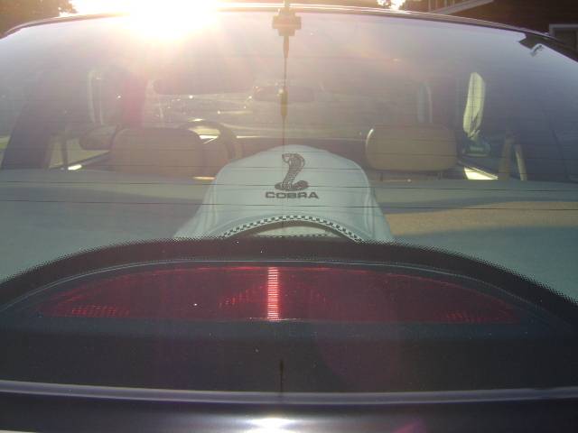 buds cobra pics 005.jpg