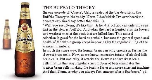 buffalo_theory.jpg