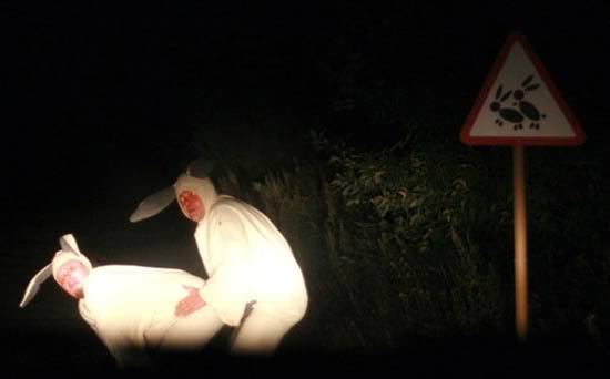 bunnies-doinit-1.jpg