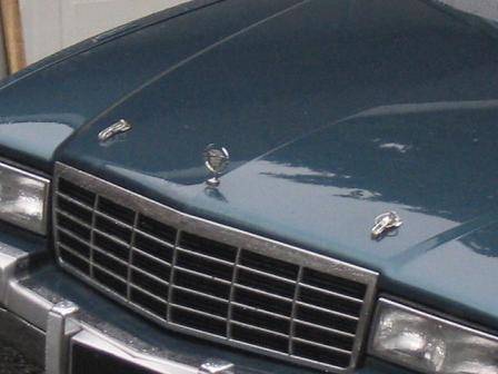 CADDY 002.1.JPG