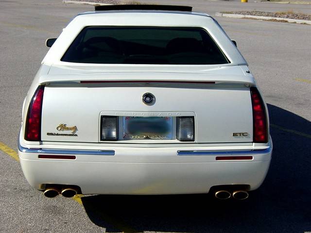 Cadi-back.jpg