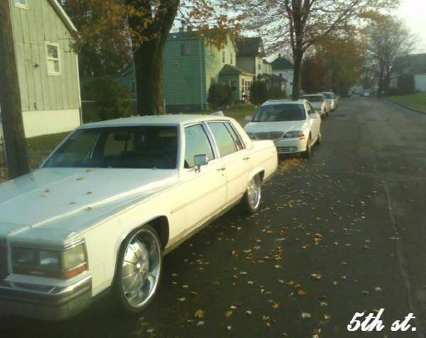 cadi.jpg