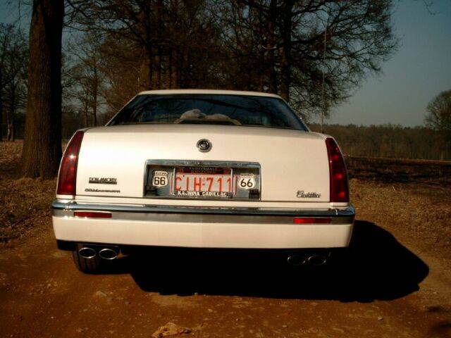 Cadillac  030221 Kalmthout 10R.jpg