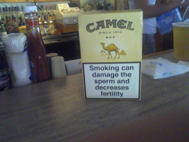 Camel 11613[00].jpg