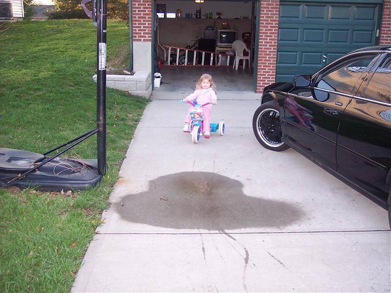 car 004.jpg