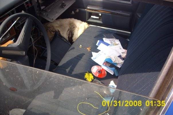 car2.jpg