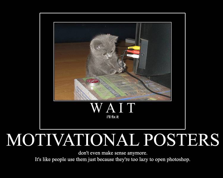 cat poster.jpg