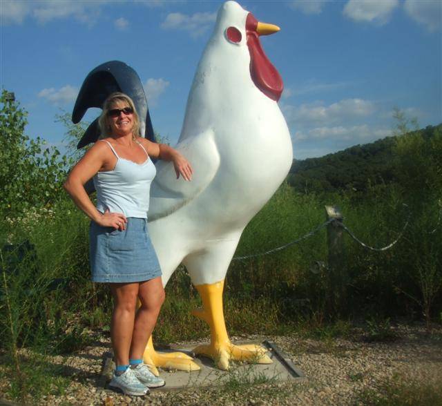 chick (Small).JPG