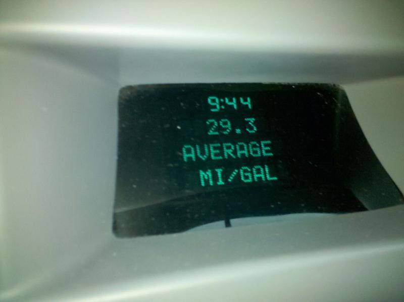 chickens mpg.jpg