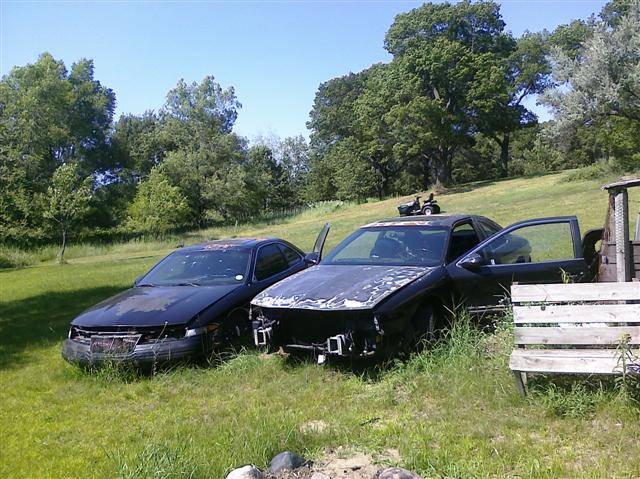 CIMG0056 (Small).jpg