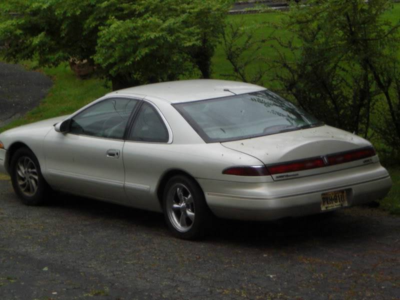 CIMG8044.jpg