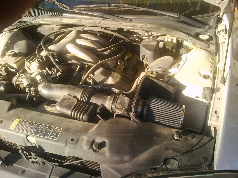 CIMG_2011-11-16-150056.jpg
