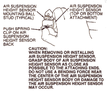 clipremoval1.gif