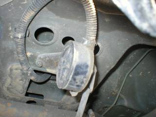 Closeup outside small.jpg
