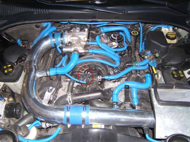 CMP (Small).JPG
