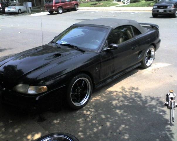 Cobra2.jpg