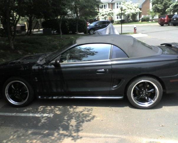 Cobra3.jpg