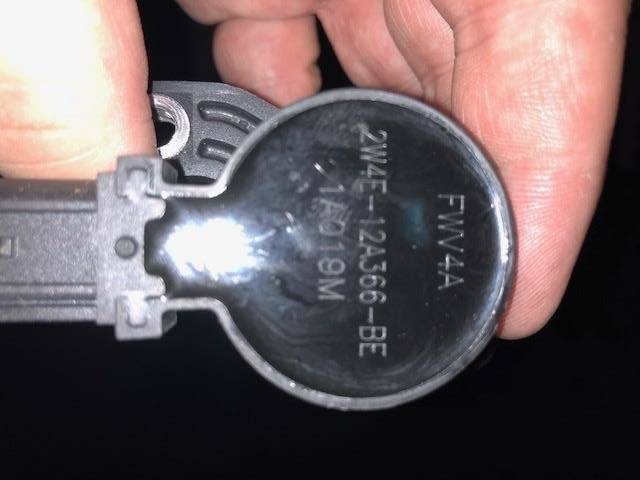 coilpic1.jpg