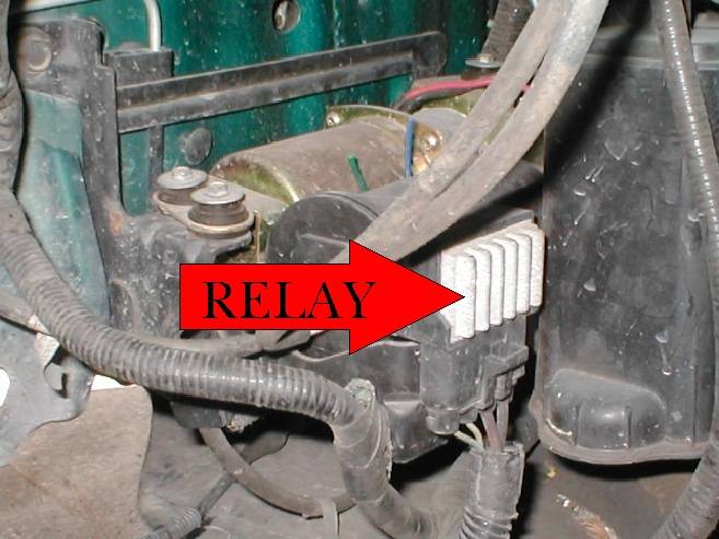 COMP%20RELAY%20PIC.jpg