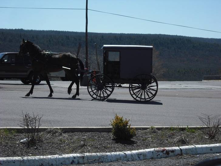 CONNECTICUT TRIP (23).JPG