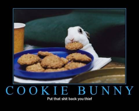 cookie-bunny.jpg