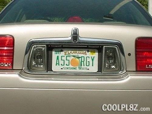 coolpl8z_a55-rgy.jpg