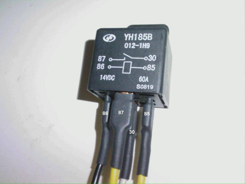 Copy of 0226122306.jpg