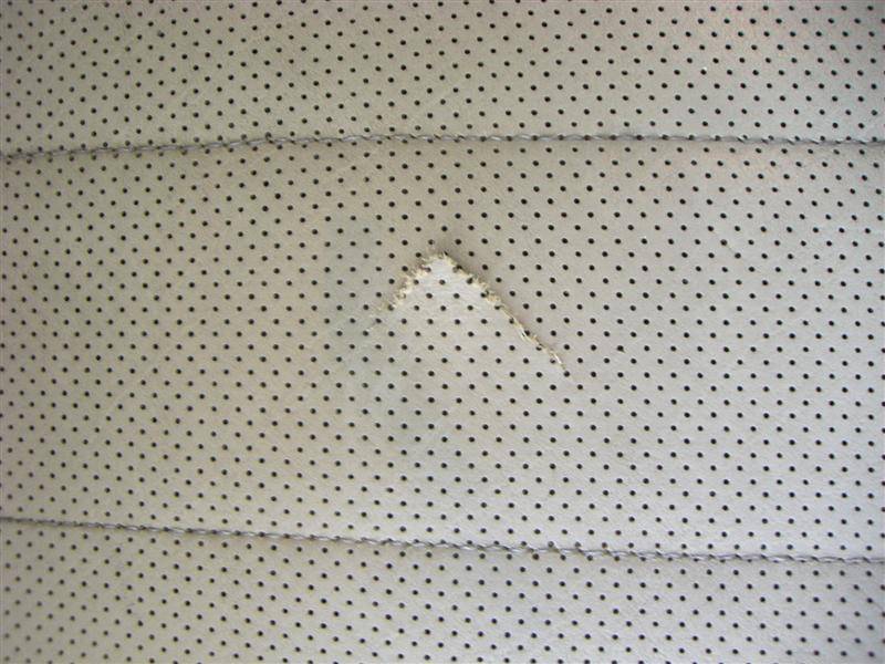 Copy of CIMG0043 (Medium).JPG