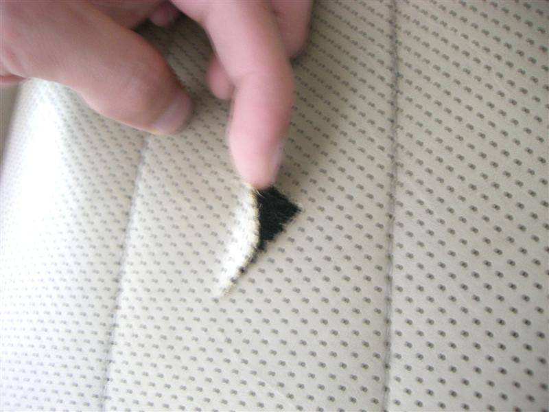 Copy of CIMG0048 (Medium).JPG