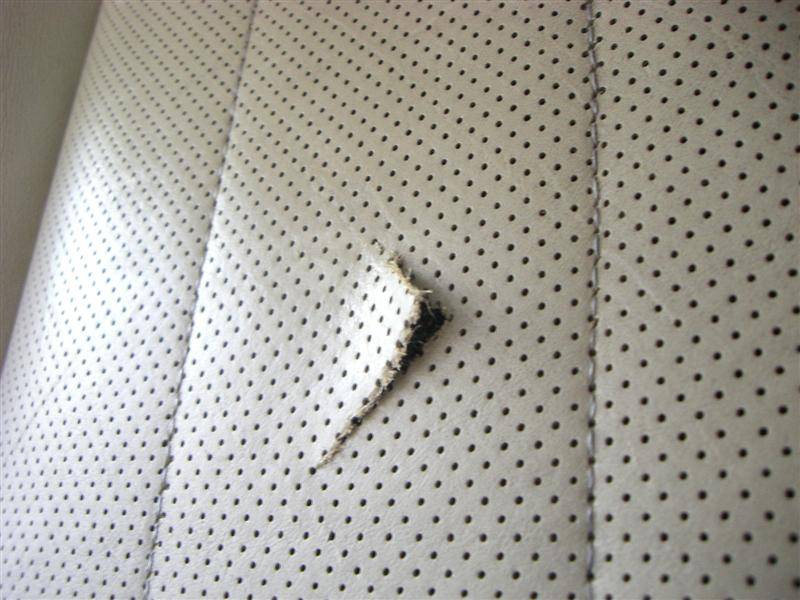 Copy of CIMG0049 (Medium).JPG