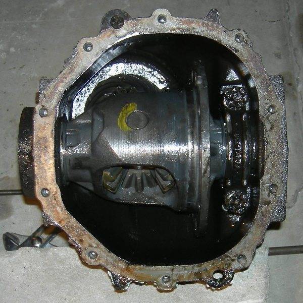 Copy of DSCN1375.JPG