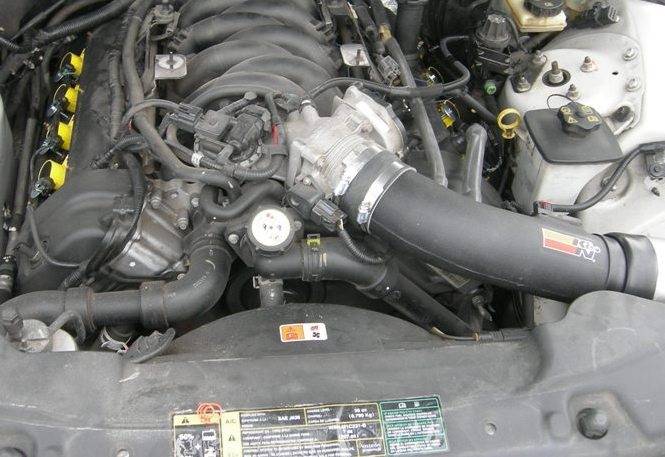 COPY of DSCN1398.JPG