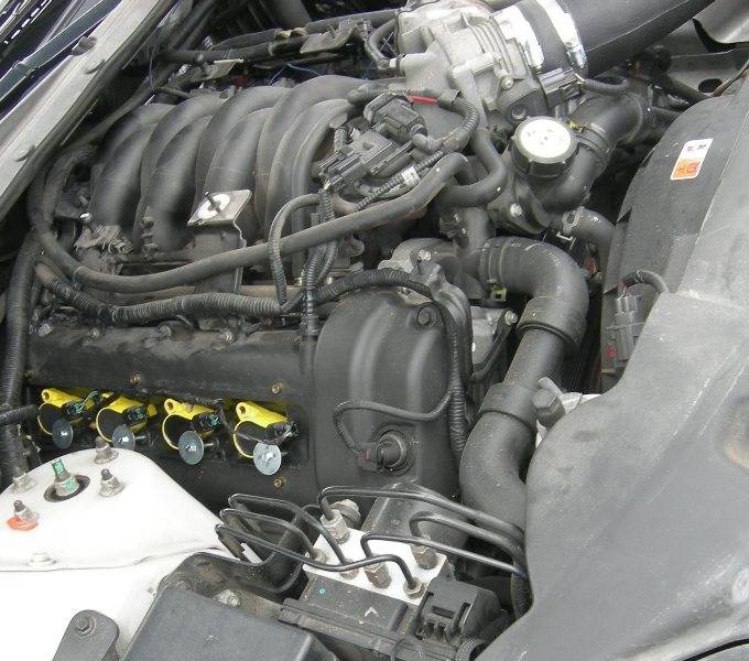 Copy of DSCN1399.JPG
