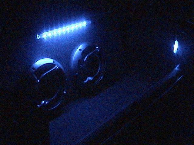 Custom Trunk3 (Small).JPG