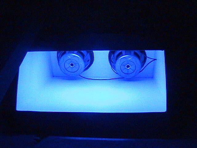 Custom Trunk5 (Small).JPG