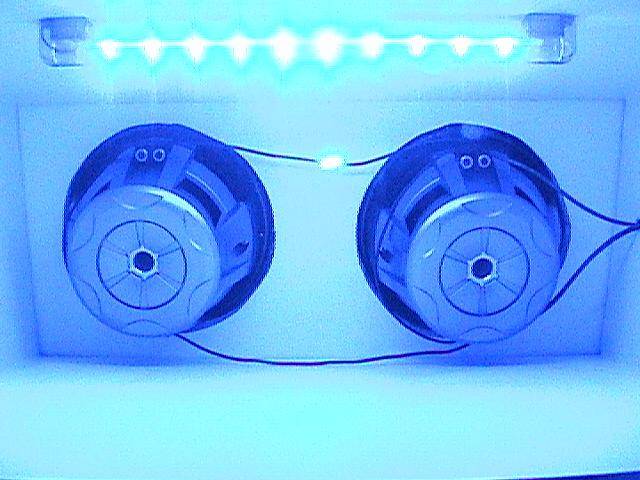 Custom Trunk6 (Small).JPG