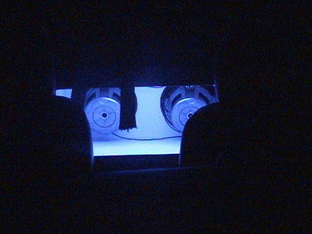 Custom Trunk8 (Small).JPG