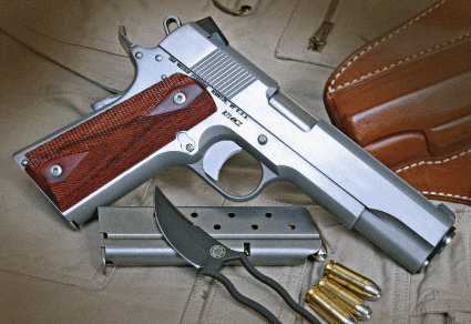 dan-wesson.gif