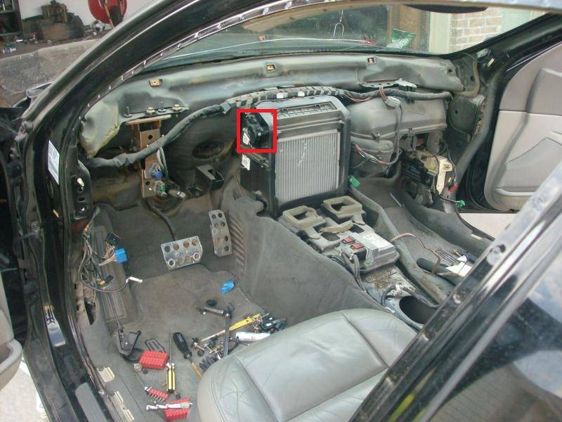 dash%202.jpg