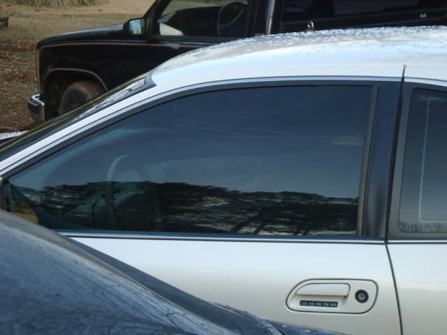 DaytimeTintPics003.jpg