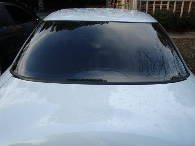 DaytimeTintPics005.jpg