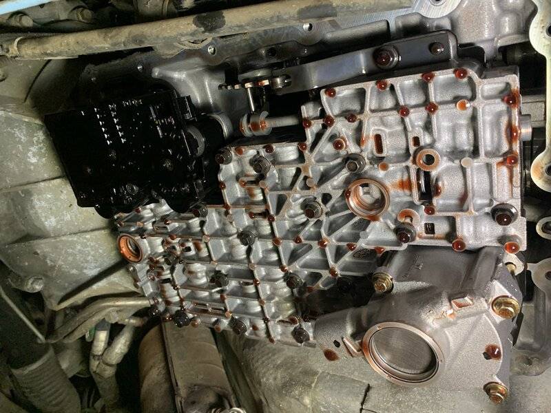 DE4A25CC-650A-4CBE-9E48-E21ADC97631F.jpeg