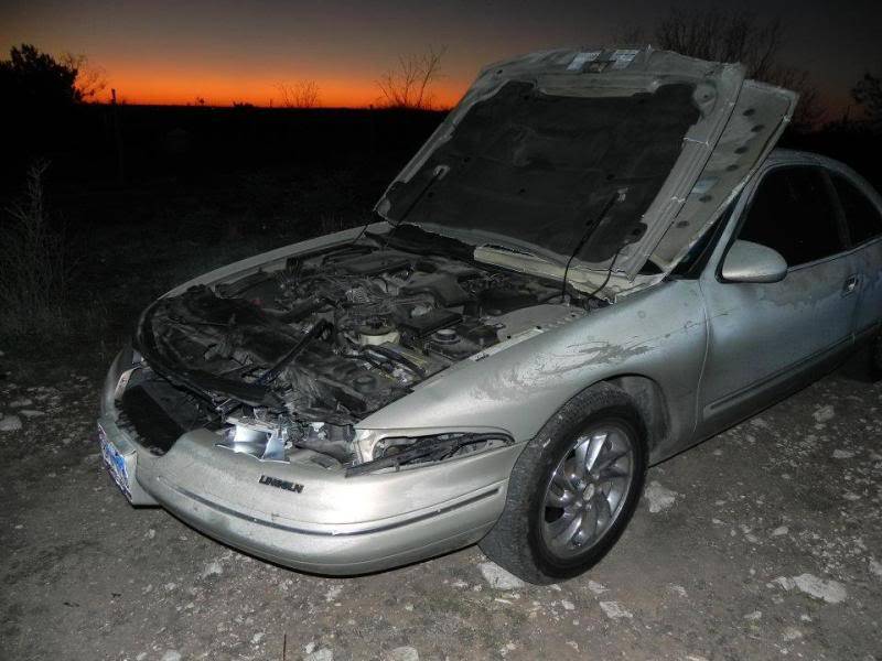 deer3.jpg