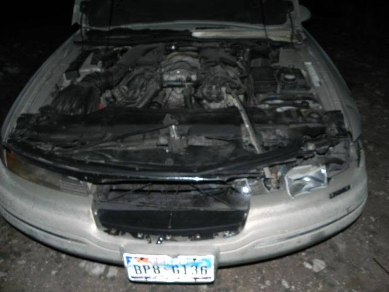 deer4.jpg