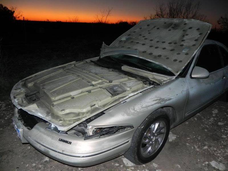 deer7.jpg
