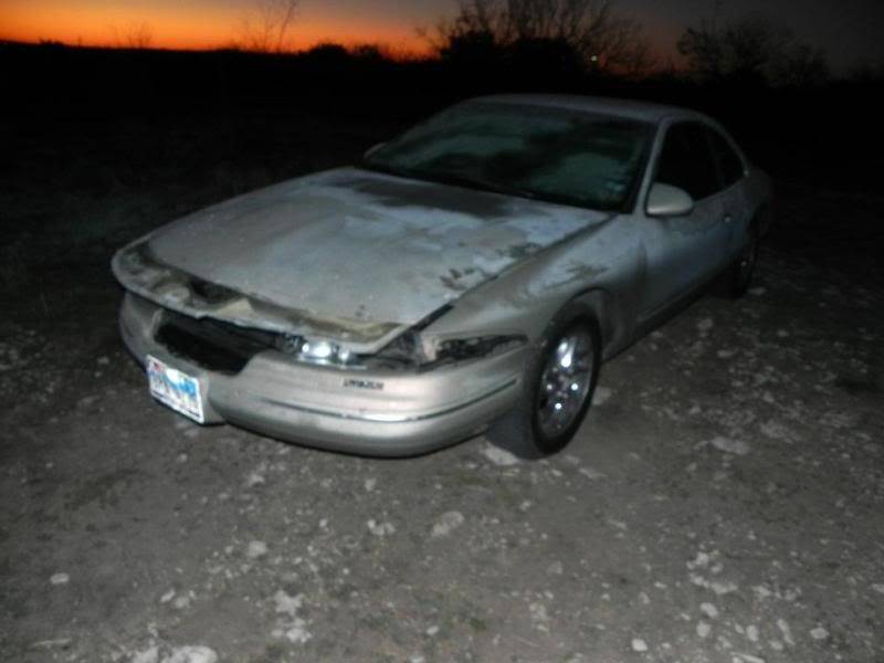 deer8.jpg