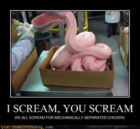 demotivational-posters-i-scream-you-scream.jpg