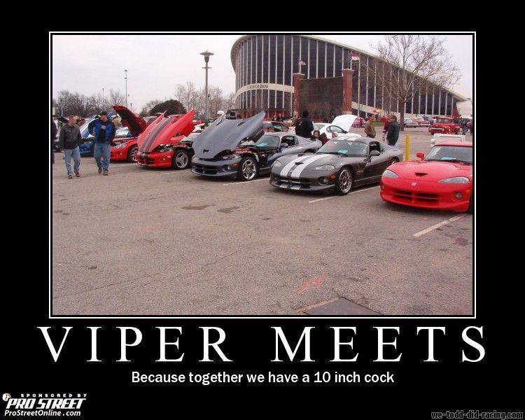 demotivational_poster_viper_meets.jpg