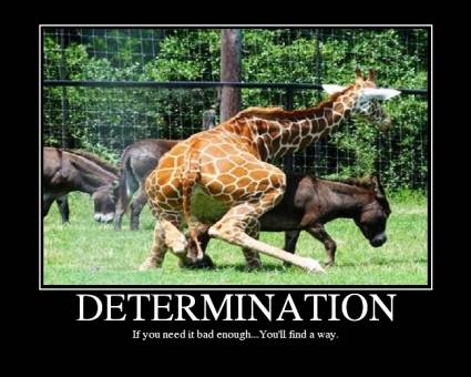 DETERMINATION.jpg